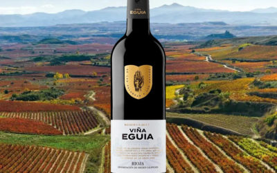 Odkrywanie Wspaniałego Świata Wina z Vina Eguia: Rioja w Hiszpanii